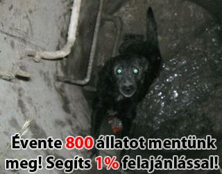 Adó 1% felajánlás: 18464654-1-06