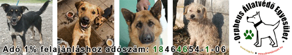 Adó 1% felajánlás: 18464654-1-06